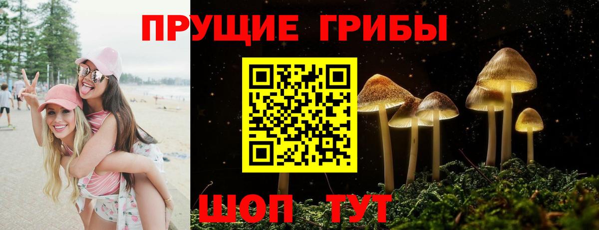Карпинск  Псилоцибиновые грибы Psilocybine cubensis  Вход с VPN 